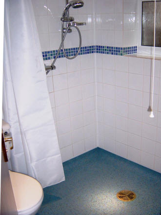 Level access shower